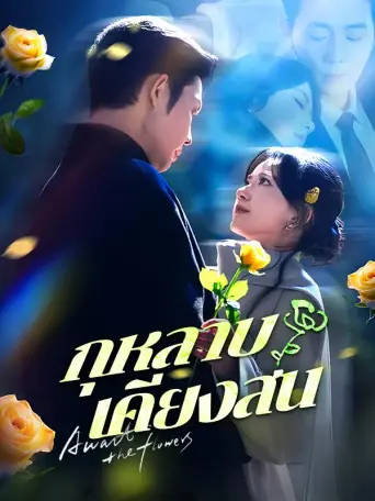 โปสเตอร์ กุหลาบเคียงสน