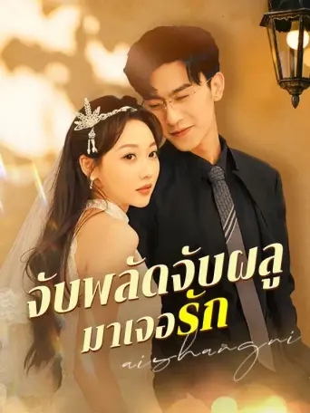 จับพลัดจับผลูมาเจอรัก