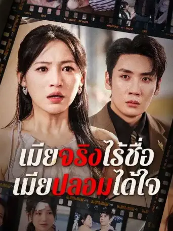 เมียจริงไร้ชื่อเมียปลอมได้ใจ
