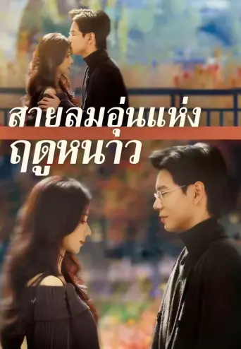 สายลมอุ่นแห่งฤดูหนาว