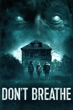 Don’t Breathe (2016) ลมหายใจสั่งตาย พากย์ไทย